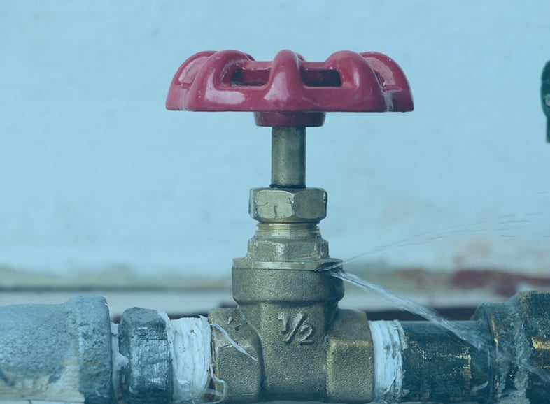 Plumbing Leak Detection