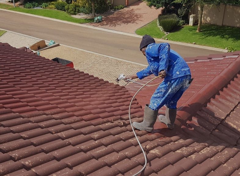 Roof Painting